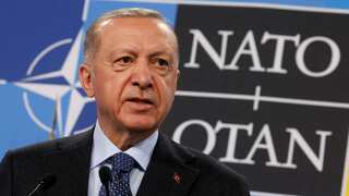 Turkey ratifies Sweden's much-delayed NATO bid, ball now in Hungary's court