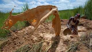 More than 70 dead after Mali gold mine collapse