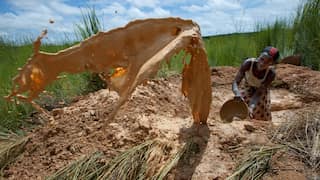 More than 70 dead after Mali gold mine collapse