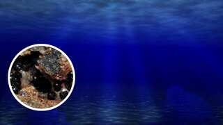Mysterious jet-black eggs found in depths of Pacific Ocean; scientists perplexed