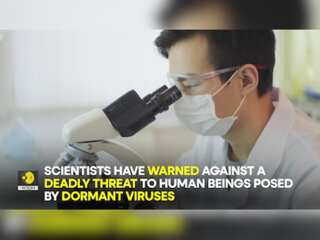 Will Zombie viruses buried in ice for thousands of years trigger a deadly pandemic?