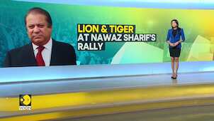 Pakistan prepares for general elections: Lion & Tiger at Nawaz Sharif's rally | Race To Power