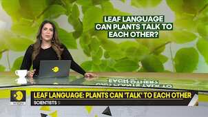 Gravitas | Leaf language: plants can 'talk' to each other