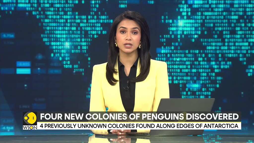 Four new emperor penguin groups discovered in Antarctica
