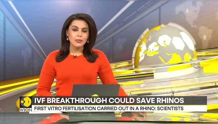 WionNews Video