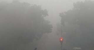 North India records longest fog spell in a decade stretching for over a month now