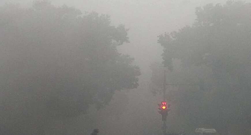 North India records longest fog spell in a decade stretching for over a month now