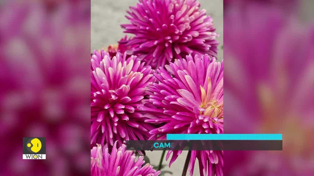 Samsung Galaxy S24 Ultra: Should you buy it | Tech It Out