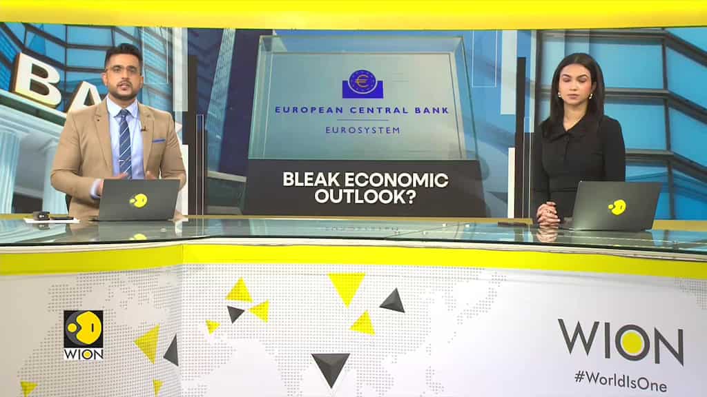 ECB considers rate cuts amid anaemic Euro zone growth | WION World DNA