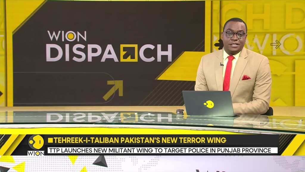 TTP launches new militant wing to target police in Punjab province