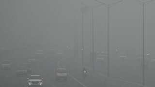 India Weather: Delhi records coldest January in 21 years as dense fog continues to blanket national capital