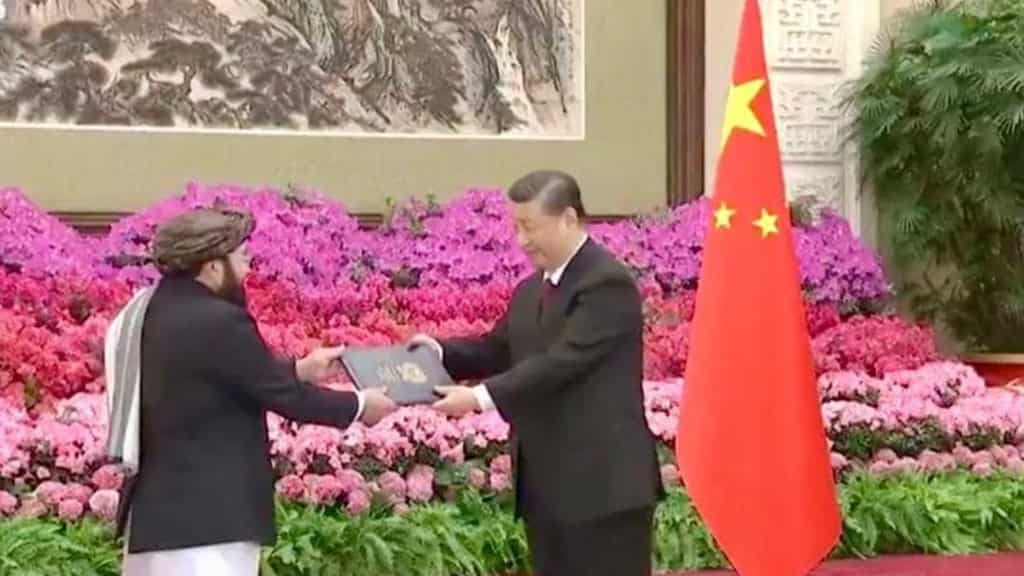 Xi Jinping welcomes Taliban ambassador to China as Kabul-Beijing ties move forward