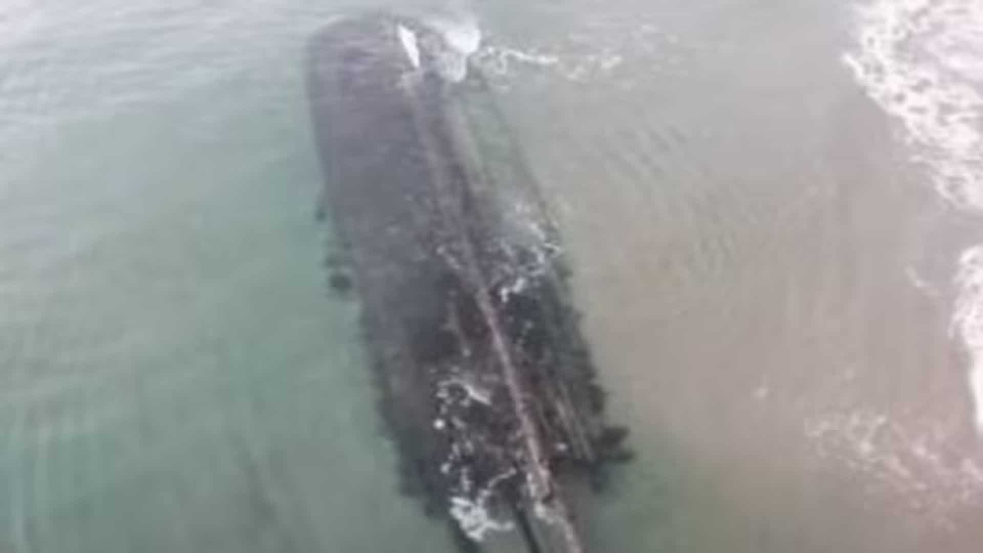 Massive 19th-century shipwreck surfaces on Canadian beach. VIDEO Massive 19th-century shipwreck surfaces on Canadian beach. VIDEO