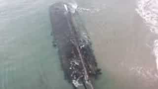 Massive 19th-century shipwreck surfaces on Canadian beach. VIDEO