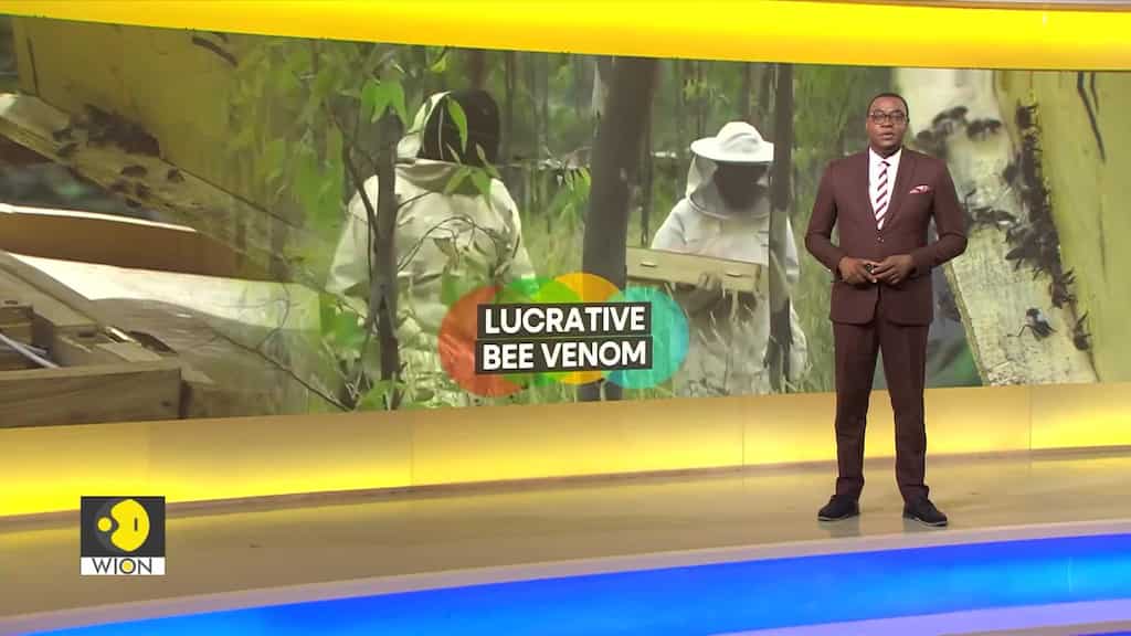 Honey swapped for more lucrative Bee venom