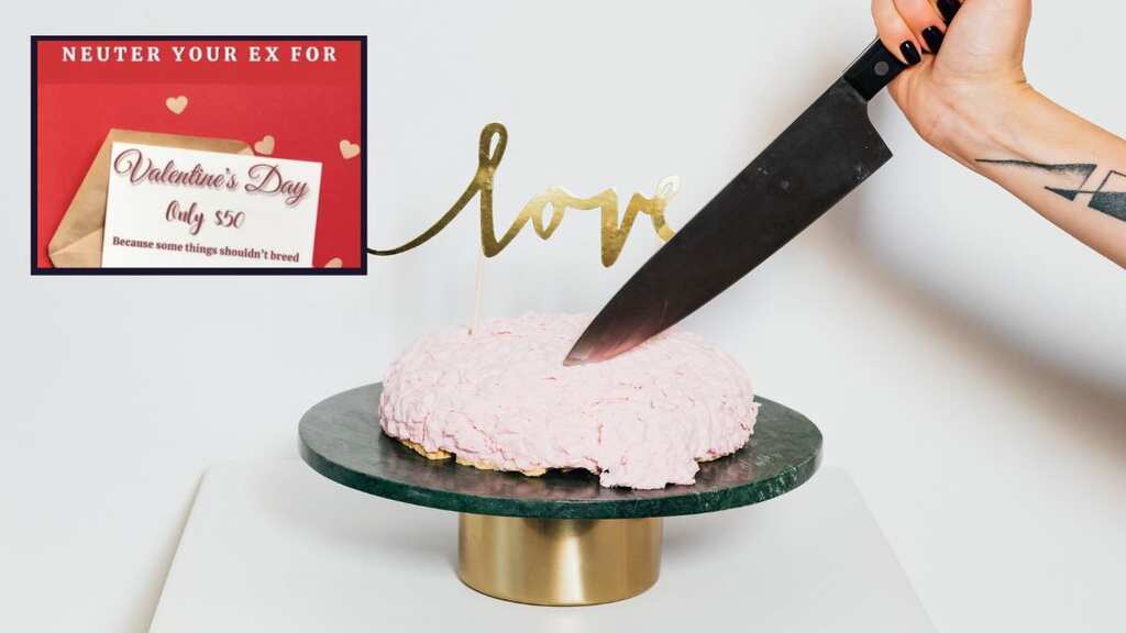 'Some things shouldn't breed': US shelter lets jilted lovers 'neuter' their ex for Valentine's Day