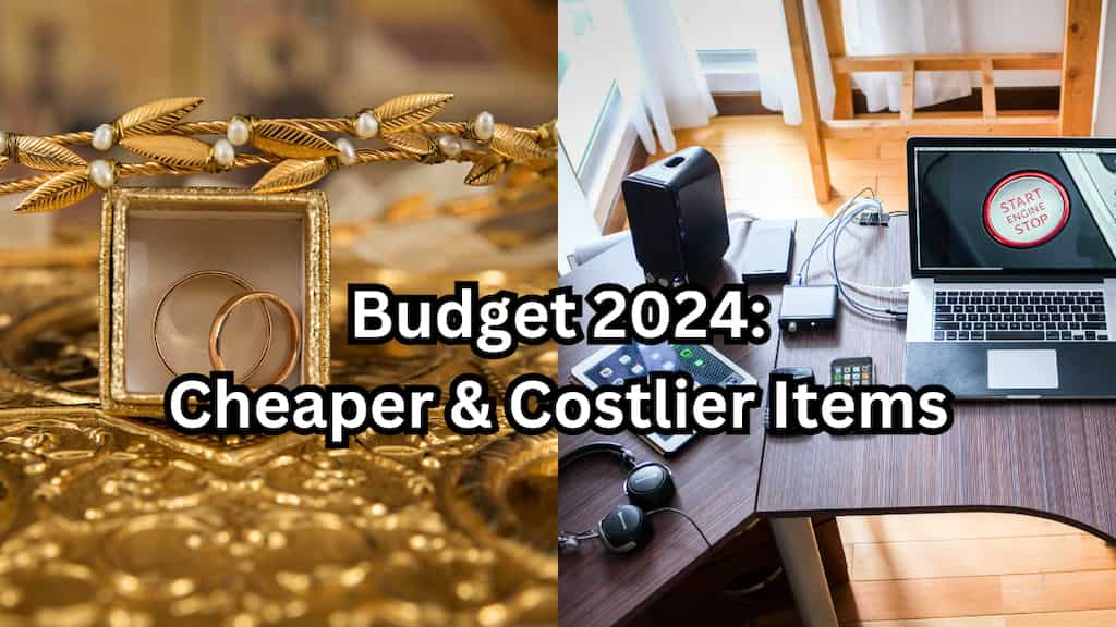 Budget 2024: What's become cheaper or costlier in last five years? Check year-wise list of items