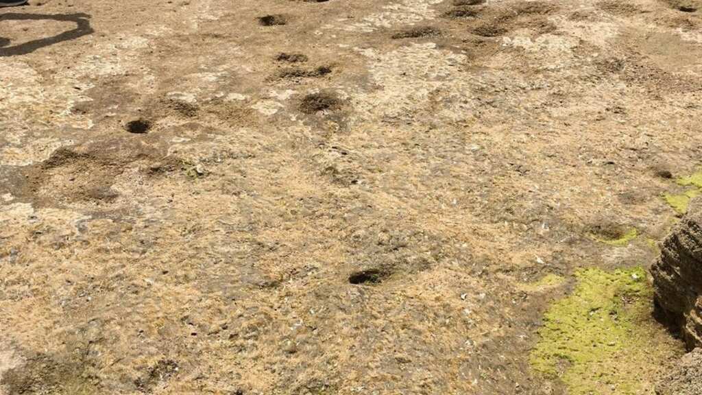 Scientists stumble upon 90,000-year-old human footprints on Moroccan beach. Here's what it indicates