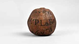 285-year-old lemon discovered in dead man's cabinet goes viral. Here's how it looks