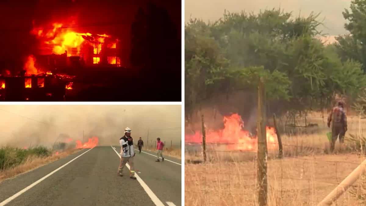 Volunteer firefighter, forestry official accused of setting fatal wildfires in Chile