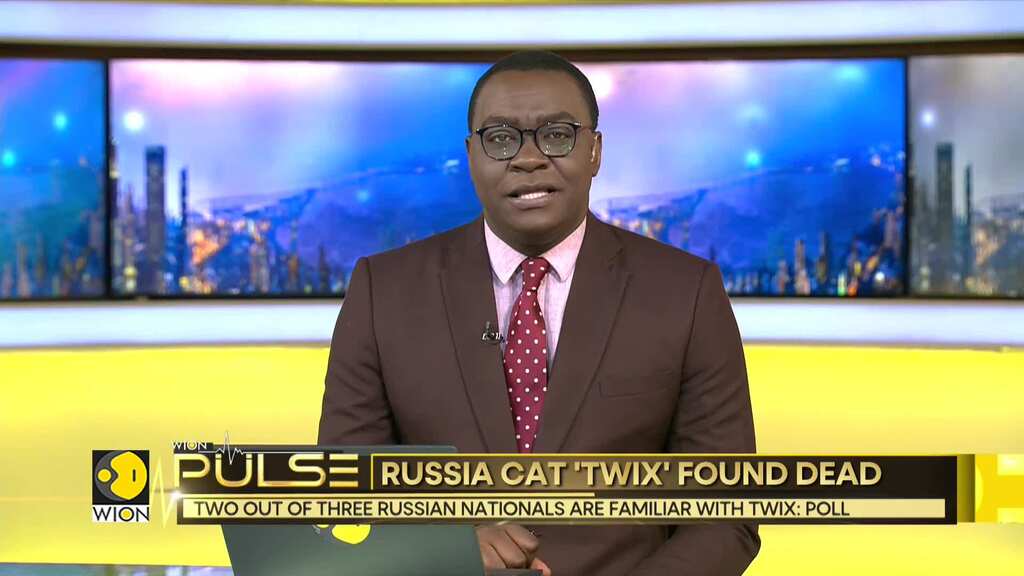 Nationwide wave of grief hits Russia after Twix's death