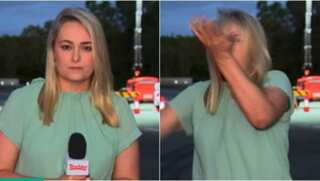 Watch: Reporter slaps herself in face during live reporting. The reason is hilarious