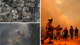 'It's like a war zone': Death toll from wildfires raging across Chile rises to 123, hundreds still missing