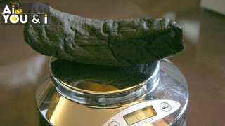 AI helps read 2,000-year-old Roman scroll from Pompeii charred by Mount Vesuvius volcano