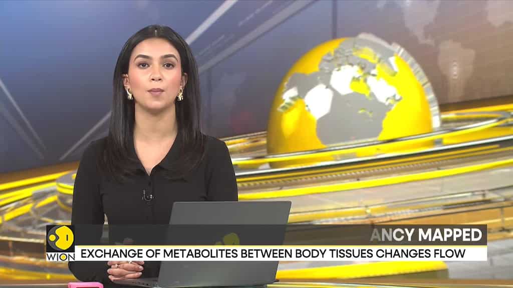 Metabolic changes mapped by scientists to regulate pregnancy health