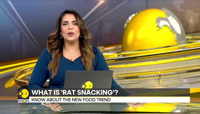 Are you a Rat Snacker? Know more about the new food trend