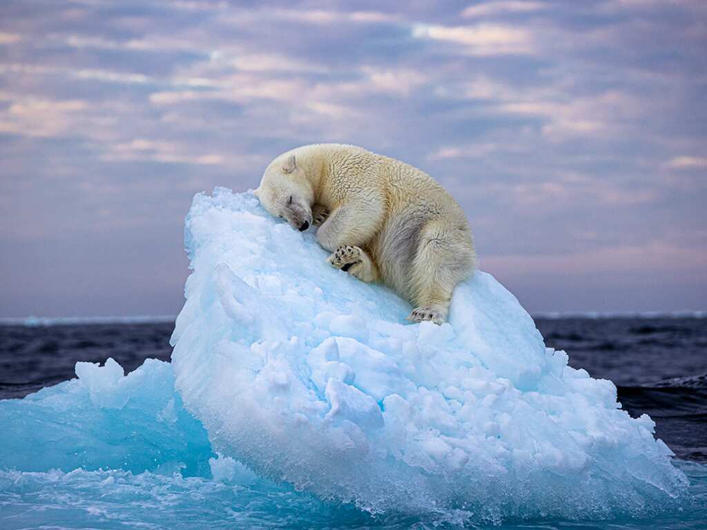 Wildlife Photographer of the Year People’s Choice award announced | See pictures inside