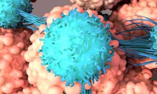 India: First patient declared ‘cancer-free’ using indigenous CAR-T cell therapy