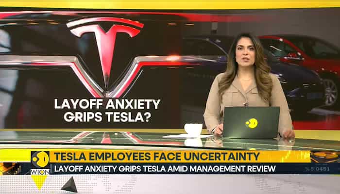 WionNews Video