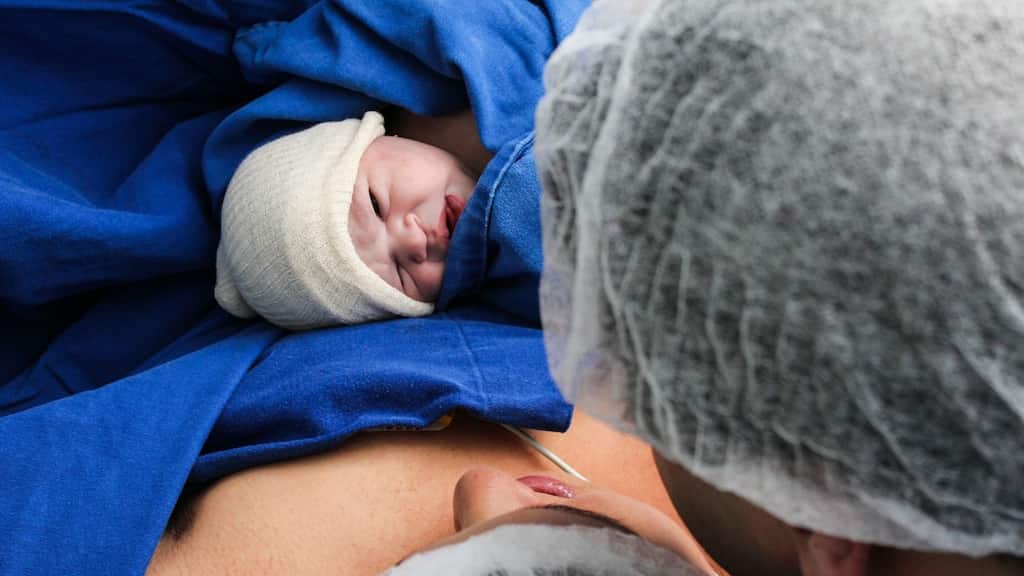Major study links common plastic chemicals to 10% of US premature births