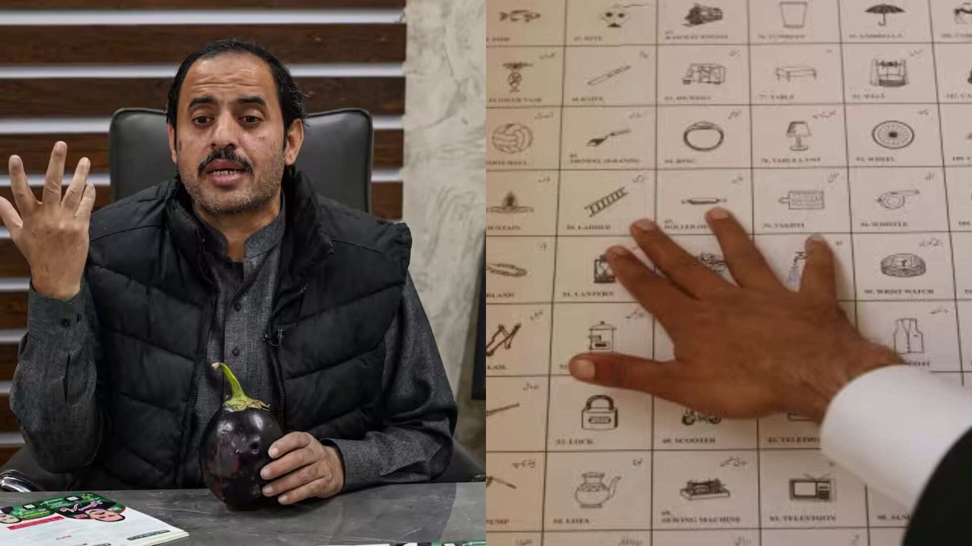 Eggplants, lions and hookahs: How Pakistan's polls became the stage for comic electoral symbols Eggplants, lions and hookahs: How Pakistan's polls became the stage for comic electoral symbols