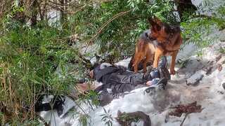 Pet dog protects owner's body from wild animals for 48 hours amid heavy snow. Watch
