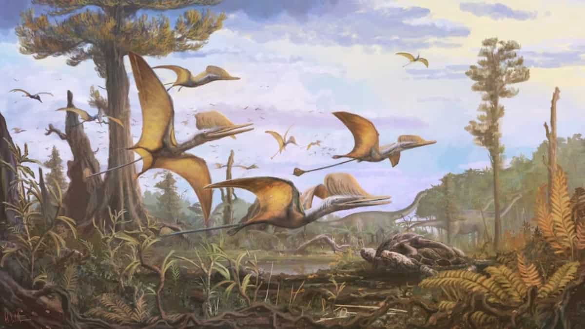 Shocking discovery in Scotland reveals skeleton of flying dinosaur that lived in China Shocking discovery in Scotland reveals skeleton of flying dinosaur that lived in China