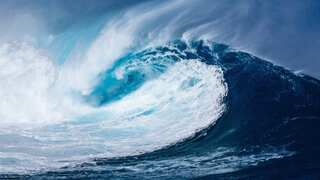 Atlantic Ocean circulation nears ‘devastating’ tipping point. Here’s why it is bad news for humanity
