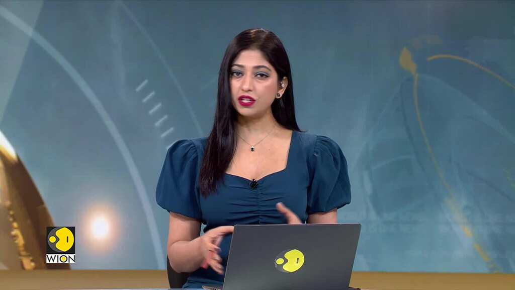 New York migrant crisis: Multiple cases of alleged migrant attacks surface NYC