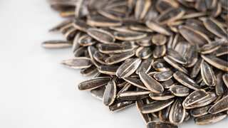 Sunflower Seeds: Seven reasons to include these healthy kernels in your daily diet