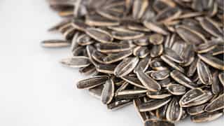 Sunflower Seeds: Seven reasons to include these healthy kernels in your daily diet