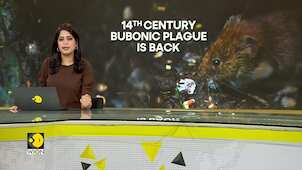 Gravitas: America's Oregon reports case of Bubonic plague