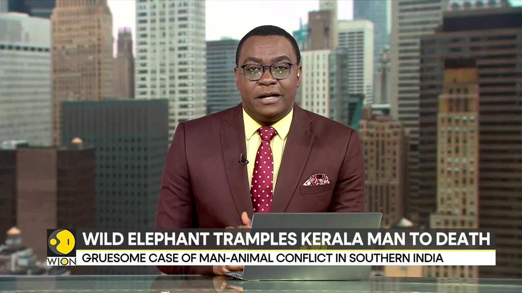 Wild elephant chases, tramples man to death in Kerala, India
