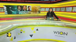 Pakistan election 2024: Nawaz Sharif reaching out to PPP, MQM-P, JUI-F for coalition govt