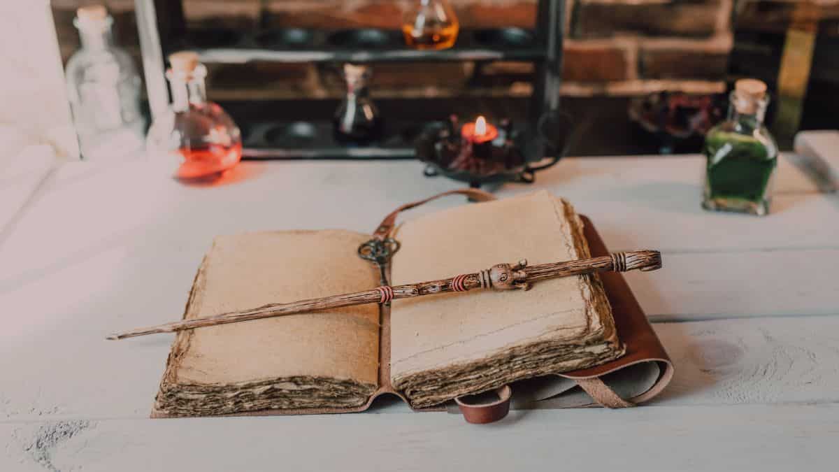 ‘Are you being Sirius?’: Harry Potter fan’s wand creates huge panic in England hotel ‘Are you being Sirius?’: Harry Potter fan’s wand creates huge panic in England hotel