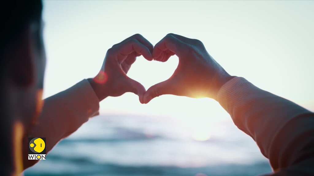 Gravitas | Former Dutch PM dies by euthanasia 'hand-in-hand' with his wife