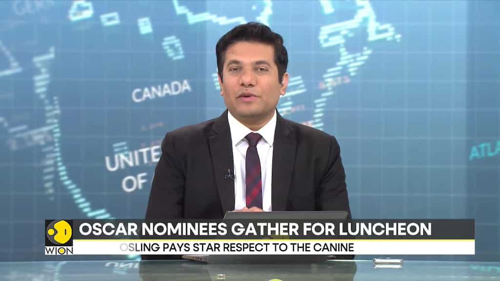 'Anatomy' dog Messi steals Oscar nominees luncheon