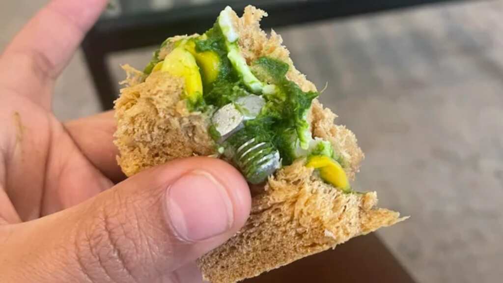 IndiGo flyer finds screw in sandwich served on flight. Not compensated because...