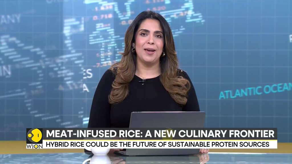 Lab-grown beef rice becomes sustainable choice; Hybrid rice could be the future