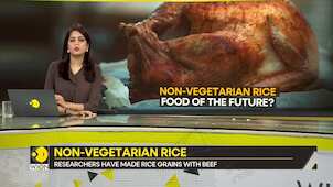 Gravitas: Lab-grown 'meaty' rice soon on the menu?